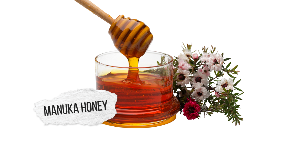 Manuka Honey2
